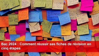 Bac 2024  Comment réussir ses fiches de révision en cinq étapes [upl. by Akcired]