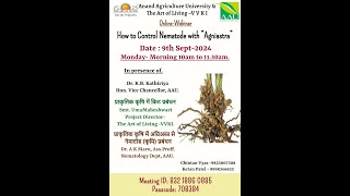 How to control Nematode  with “Agniastra” in Natural Farming [upl. by Atener]