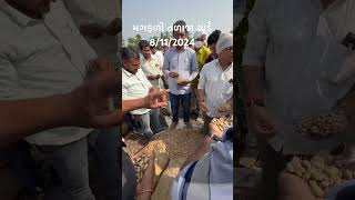 talaja apmc rajkot gondal botad mandi amreli comedy movie dance garaba bhajan apmc uk [upl. by Maynord]