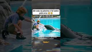 Ele foi salvo pela orca 🎬 Free Willy filme resumo curiosidades anos90 [upl. by Lexie309]