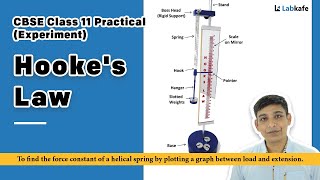 Hookes Law Experiment for Class 11 Practical [upl. by Stranger]