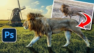 How to Combine Photos in Photoshop for beginners compositing [upl. by Neetsirk391]