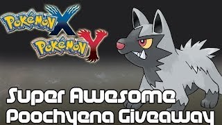 CLOSED Pokemon X and Y Poochyena Giveaway [upl. by Eynttirb33]