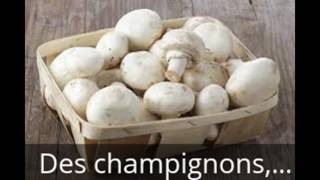 Faire pousser des Champignons de Paris à lécole [upl. by Hpsoj]