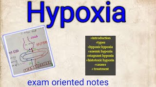 Hypoxia types causes treatment physiology [upl. by Yddor]