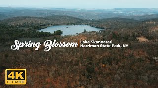 4K 미국 등산 Spring Blossom  Lake Skannatati Harriman State Park NY [upl. by Ploss552]