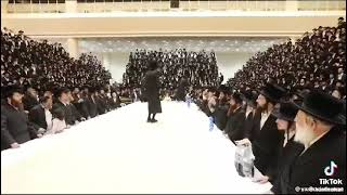 R’ Elimelech Biderman gig [upl. by Barvick]