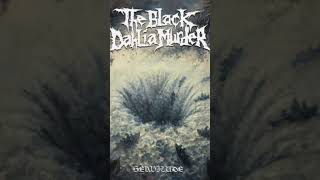 The Black Dahlia Murder Servitude album review [upl. by Nedyaj877]