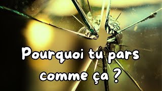 Pourquoi Tu Pars Comme Ça  Audio Officiel [upl. by Clover]