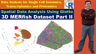 Spatial Data Analysis Using Giotto 3D MERfish Dataset Analysis Part II [upl. by Iseabal184]