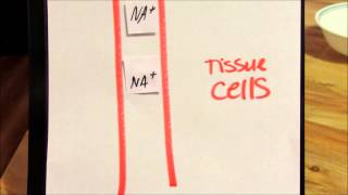 Nursing Students Fluid Balance [upl. by Enihpets]