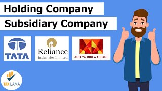 What is Holding and Subsidiary Company Explained in Hindi  with Examples [upl. by Aihsram461]