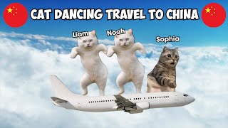 Cat Dancing Travel to China Part 1 [upl. by Seaver88]