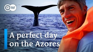 Discover the Azores  A perfect Day on the Azores  Best things to do on the Azores [upl. by Nottirb]