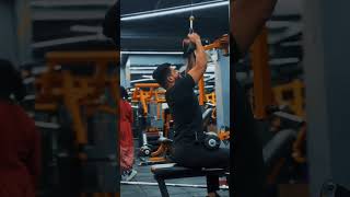 Best Back Day Workout Routine shorts fitness backworkout fitnessmotivation youtubeshorts [upl. by Christalle526]