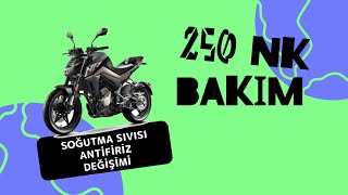 CF Moto 250 NK  Bakım  Soğutma sıvısı antifiriz değişimi [upl. by Nesiaj974]