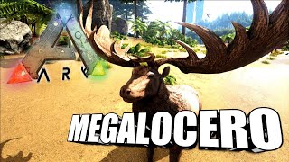 Taming A Megaloceros  Ark Survival Evolved  The Island [upl. by Edia546]