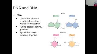 Immunology  Lecture 14  Molecular Diagnostic Techniques  Part 1 [upl. by Talia]