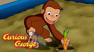 The Disappearing Vegetables 🐵 Curious George 🐵 Kids Cartoon 🐵 Kids Movies [upl. by June]