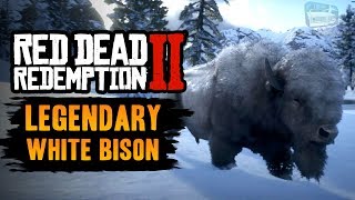 Red Dead Redemption 2 Legendary Animal  Legendary White Bison [upl. by Cyn732]