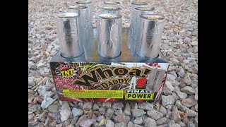 TNT Fireworks  Whoa Daddy NOAB 9 shots 500 g cake [upl. by Ssew]