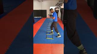 Basics Agility Ladder Drills  Cardio [upl. by Ilan]