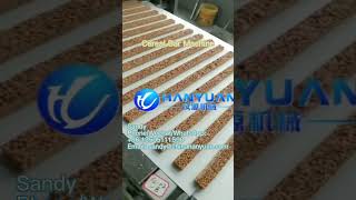 Cereal Bar Production Line cerealbar machine productionmachine equipment productionequipment [upl. by Odanref594]