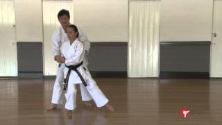 Goju ryu kata  saifa part 1 of 2 [upl. by Prichard]