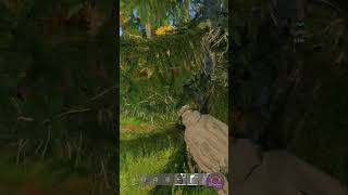 DRIBLE DA VACA LOUCA dayz dayzgamers gaming dayzfunnymoments dayzclips dayzgameplay dayzpvp [upl. by Marden]