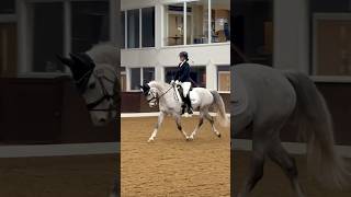 🥈Our first Novice Dressage test [upl. by Ellenrad828]