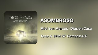 Asombroso  Miel San Marcos 🎧 Multitrack [upl. by Ordnaxela]