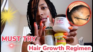 Extreme Hair Growth RegimenHOW TO GROW BACK YOUR EDGES ♡ SeQuoiaCreates [upl. by Middleton]