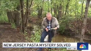 Who Dumped Dozens of Pounds of Pasta in New Jersey NOODLES MYSTERY SOLVED  NBC New York [upl. by Michiko202]