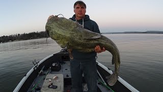 7 Keys To Catch A MONSTER CATFISH Huge Flathead [upl. by Suriaj681]