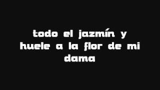 Fondo Flamenco Mi estrella Blanca Letra [upl. by Noraed]