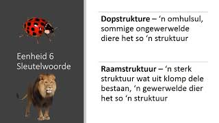 Graad 5 Natuur Wetenskap Kwartaal 1 Module 1 Eenheid 6 [upl. by Hunley]