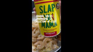 review sa slap ya mama seasoning [upl. by Oca192]