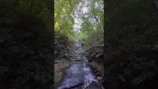 Add Bearden Falls to your bucket list a must see waterfall in Blue Ridge WMA near Dawsonville Ga [upl. by Rebmyt]