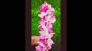 🩷✨ customized foamiran flowers reeth ✨ DM Or WhatsApp 9095311995 [upl. by Nugent]