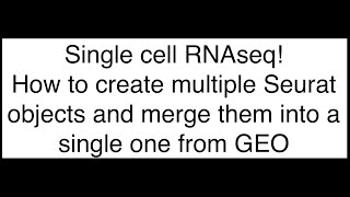 Creating a Seurat Object from a GEO Dataset 📊 [upl. by Hendricks]
