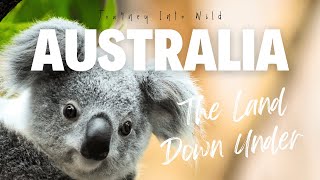 Journey Into Wild Australia  The Land Down Under [upl. by Rekcut]