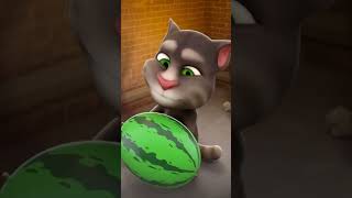 Talking Tom live 11 [upl. by Yrok]