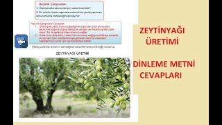 Zeytinyağı Üretimi Dinlemeİzleme Metni Etkinliklerinin Cevapları 8 SINIF [upl. by Kareem]