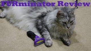 FURminator Review Video with Sean Coonery [upl. by Leirrad]