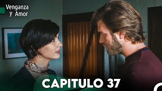 Venganza y Amor Capitulo 37  Doblado En Español [upl. by Namharludba]