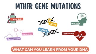 MTHFR Gene Mutations Health Conditions Symptoms and Treatments Explained [upl. by Chute793]