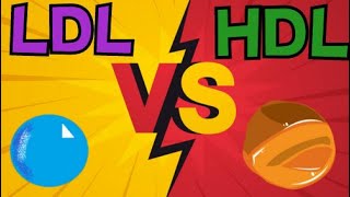 LDL VS HDL  QUICK SUMMARY [upl. by Latia909]