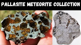 Pallasite Collection Admire Seymchan Sericho Imilac Esquel Collecting Meteorites Pallasites Space [upl. by Geer545]