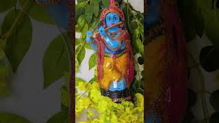 Traditional Vishu Kani Orukkam [upl. by Ocsic618]