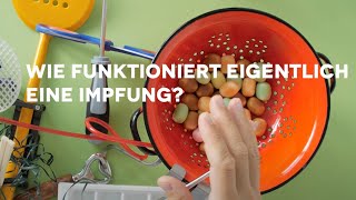 wie funktioniert eigentlich EINE IMPFUNG [upl. by Annyl638]